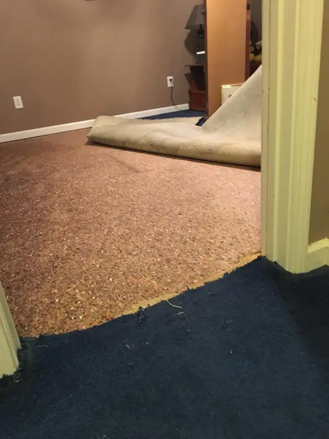 Carpet pad removal revealing water damage during Water Mitigation Services in Richmond Heights