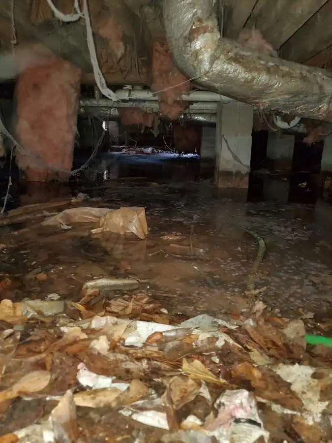 Crawl space flood assessment for Leak Detection & Repair in Richmond Heights